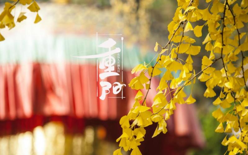 金秋送爽，心暖重陽。祝您重陽愉快，闔家歡樂，福壽安康！